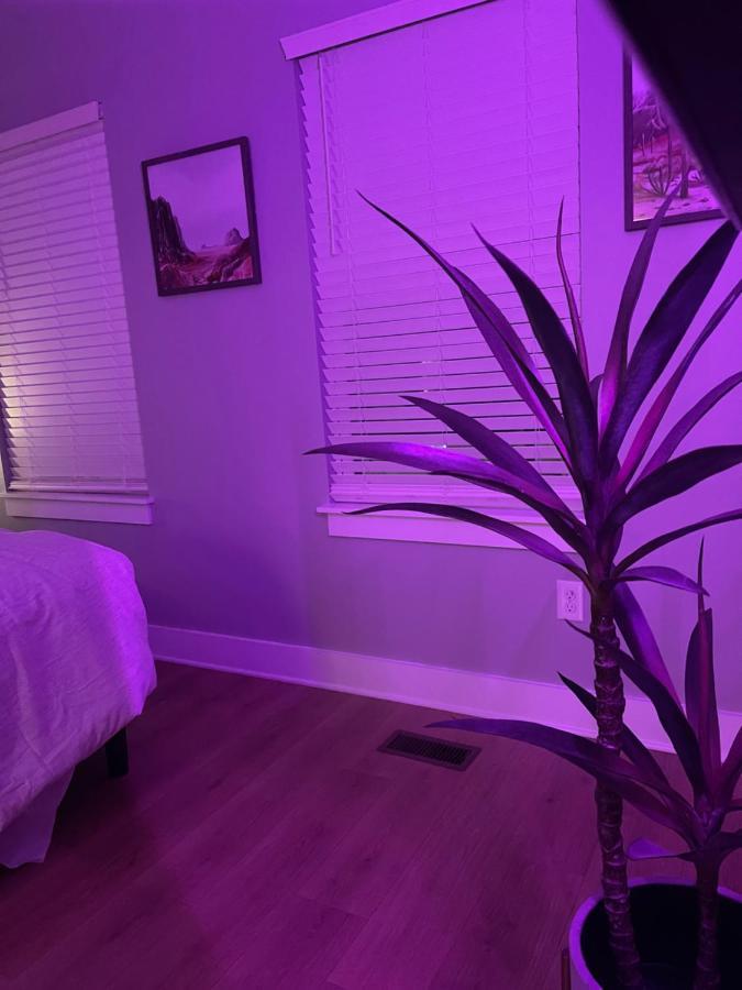 Classy, Cozy, Close To Downtown Appartement
